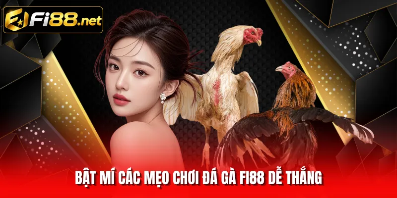 Bật mí các mẹo chơi đá gà FI88 dễ thắng