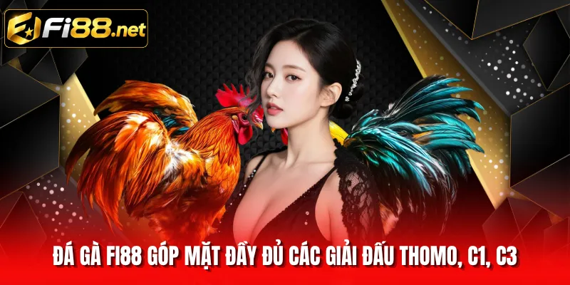 Đá gà FI88 góp mặt đầy đủ các giải đấu Thomo, C1, C3